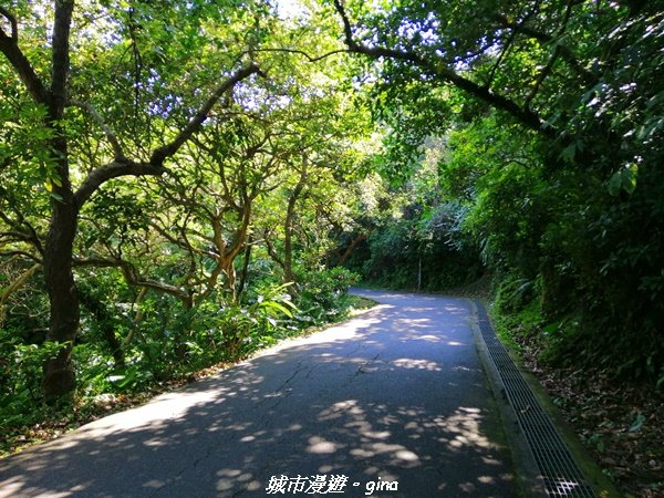 【新北。金山】獅頭山公園步道~遠眺金山八景之燭臺雙嶼1458196