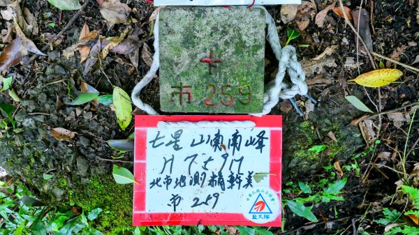 環七星山步道2837895