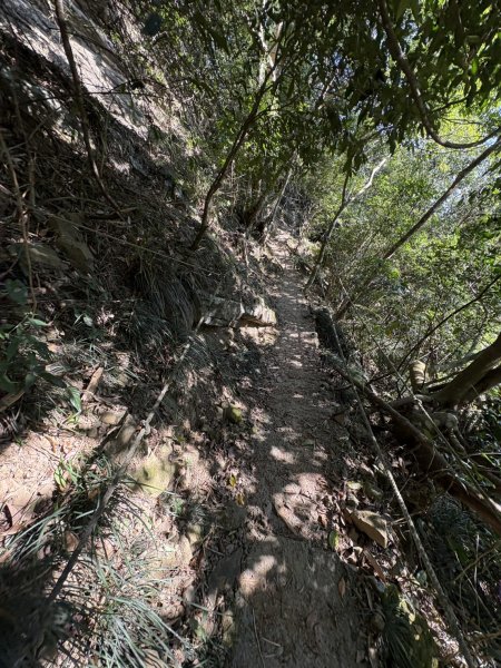 20251123台南－獵鷹尖一線天步道2944548