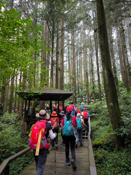 2025-09-14 奮起湖2887433