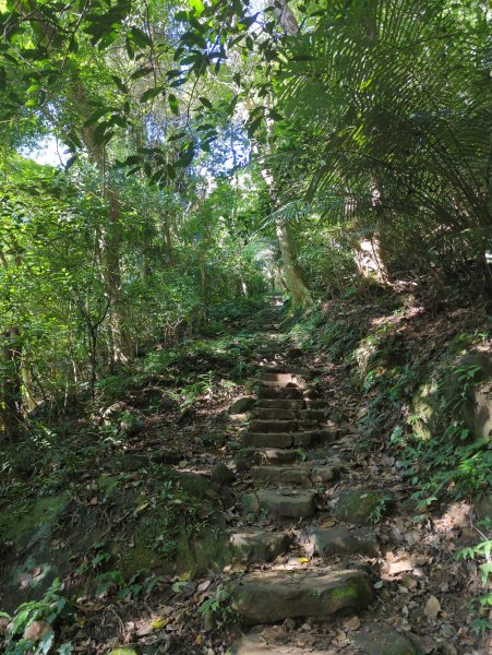 2025.11.15－鳴鳳古道2942993