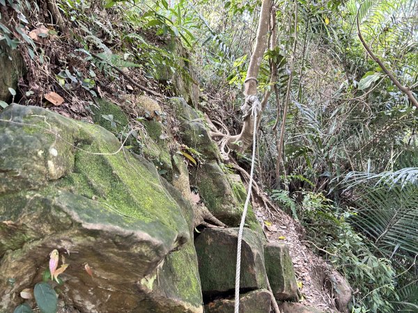 桃園金面山2752278