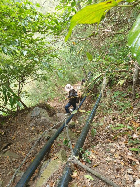 麗陽上屋我尾山2683107