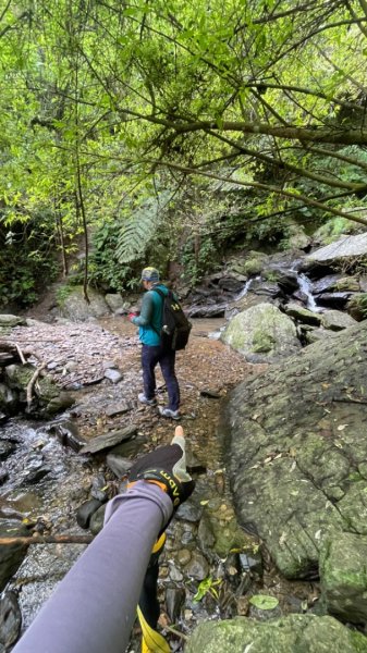 烏來西坑林道/探勘派出護管所彈藥庫遺址至獅坑橋2576280