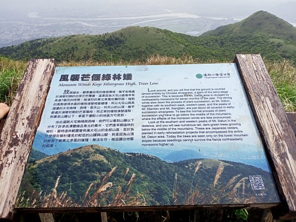 【臺北大縱走 2】【台北-臺灣百大必訪步道】視野遼闊的大屯山主峰，風景秀麗的頂湖海芋步道、水車寮步道1340306