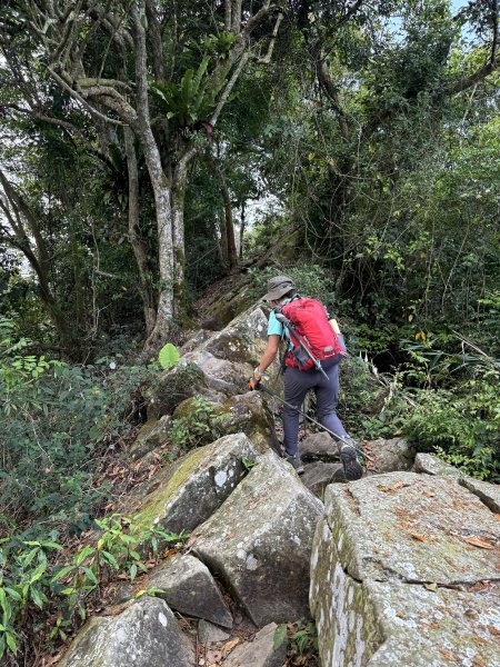烏山縱走半程 (雲山寺~刣牛湖山) 來回 202504272773733