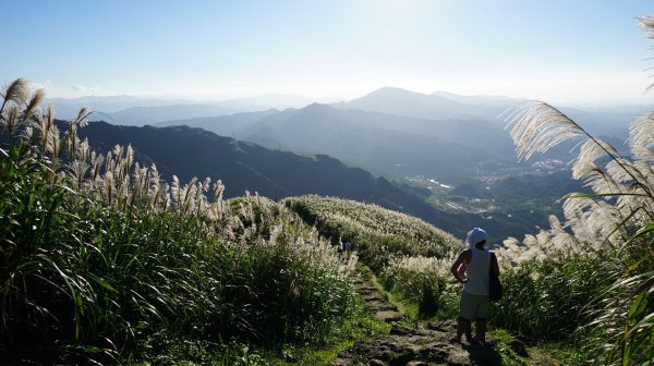 基隆山步道472429