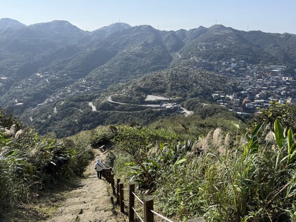 2025/01/20 金瓜石 基隆山 茶壺山2894034