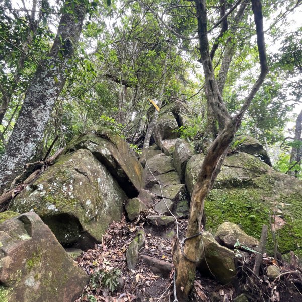 20250421_向天湖山步道（苗栗小百岳）2855808
