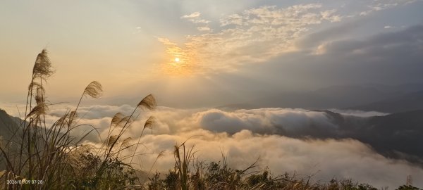 #翡翠水庫壩頂 #雲海 #日出 #陽明公園 #夕陽1/92979373