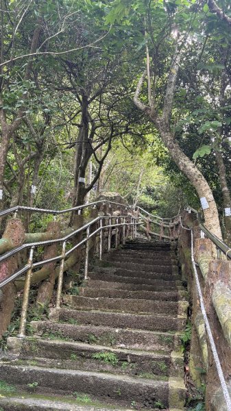 941（旗尾山2905670