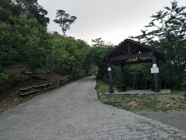 小百岳:藤枝山1323141