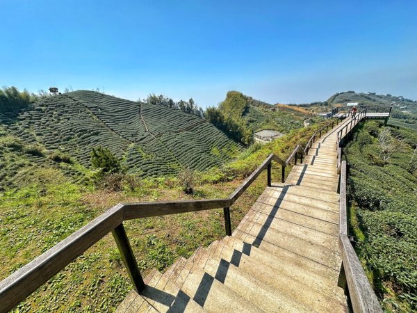 溪頭六連峰O繞2741788