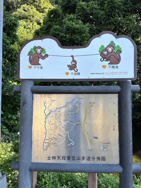 天母古道 + 紗帽山2913888