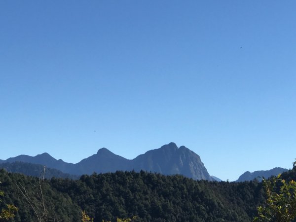 大雪山200林道北三錐山736921