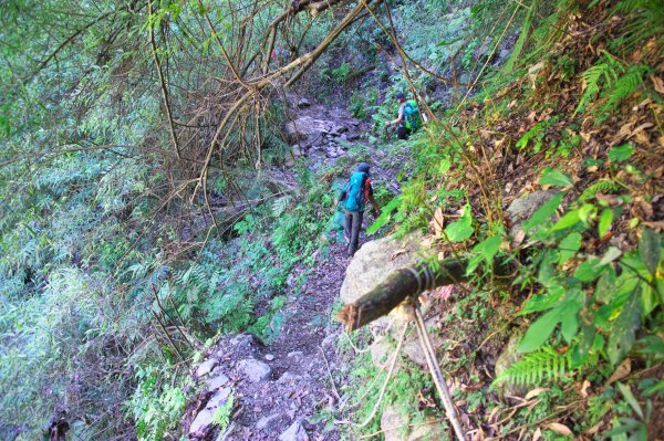 慢行霞喀羅(石鹿-霞喀羅大山-養老)700472