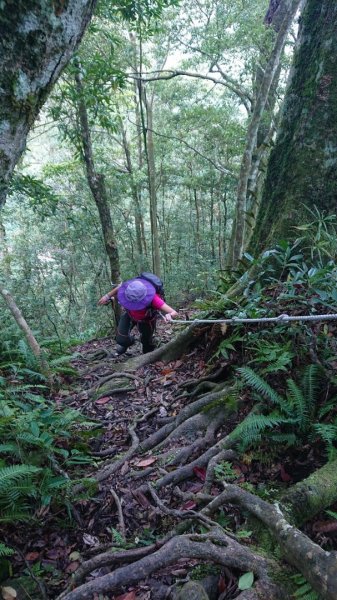 那結山（嘎色鬧部落線）893458