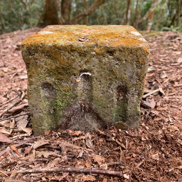 20250228屏東達洼蘭山-下達洼蘭山2732879