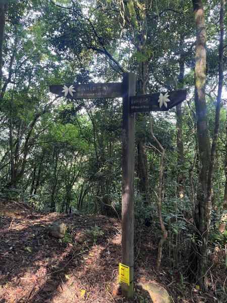 [淡蘭古道] 2025_0802 南路第四段2850831