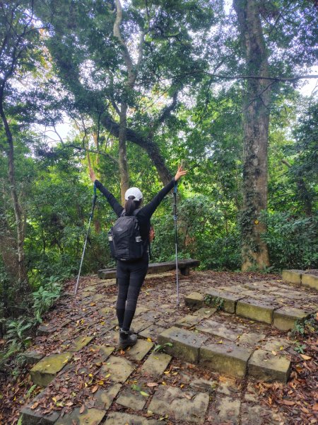 鳳鳴古道 鳳鳴山 南隘勇（南長城）古道 三湖山 八達嶺（龍骨）古道 綠色古道 延平古道2975210