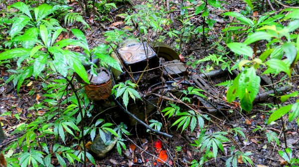 石笋古道,焿子寮古道,松子嶺古道2798356