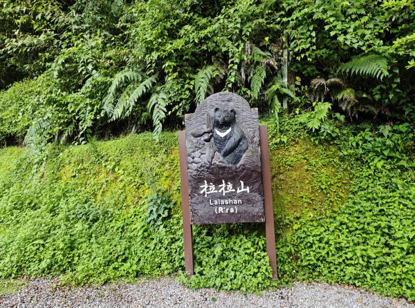 2025_0713 拉拉山神木群步道2837725