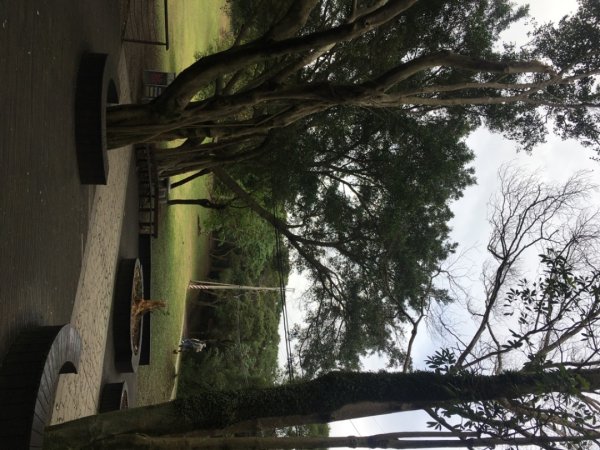 五酒桶山、南崁山2693316