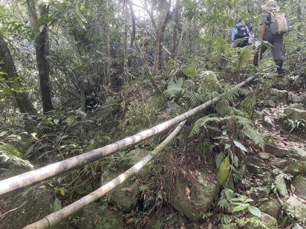 熊空紅河谷越嶺古道2916296