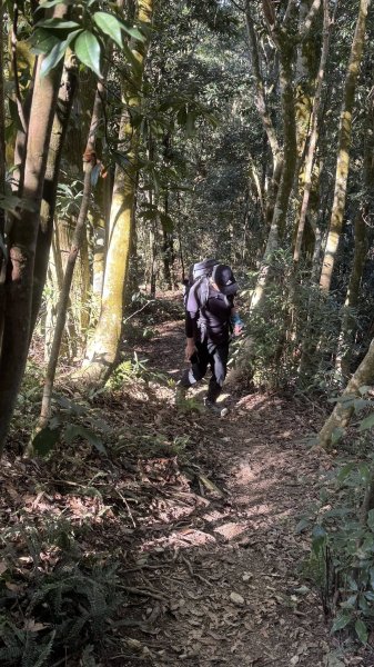 20260214 小百岳藤枝山3002990