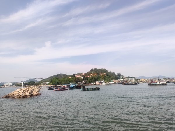 香港長洲鳥2504635