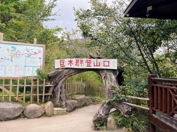 司馬庫斯巨木群登山步道2862122