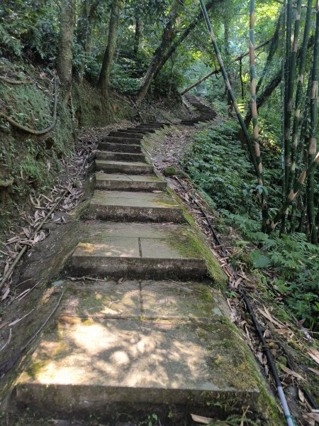 20251010微笑山線：【五分山系】平溪小黃山段 - 健行筆記2910169
