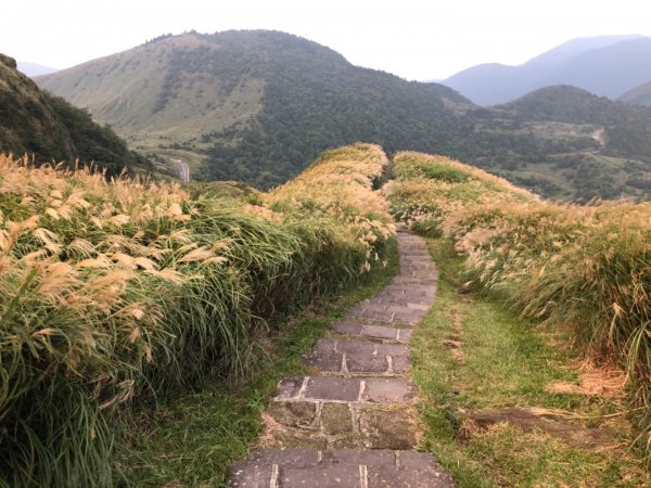 20180930 台北七星山與東峰547421