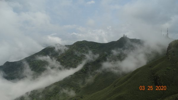 蒼天不負苦心人，再度陽明山雲海891393