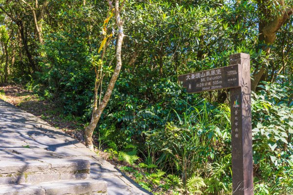 [台北]大崙頭山、碧山巖、忠勇山2746146