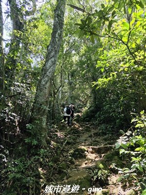 【桃園大溪】溪洲山步道(福山巖登山步道)3057159