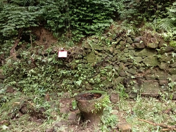 雙溪區彎穹平林山+平湖東步道+紙坑古道(億山煤礦)+紙坑山出平水聚落O型2965776