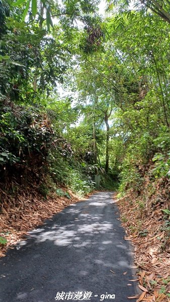 【南投草屯】蝴蝶紛飛可惜抵擋不了低海拔蚊子攻擊。 虎山步道x中興新村2856647