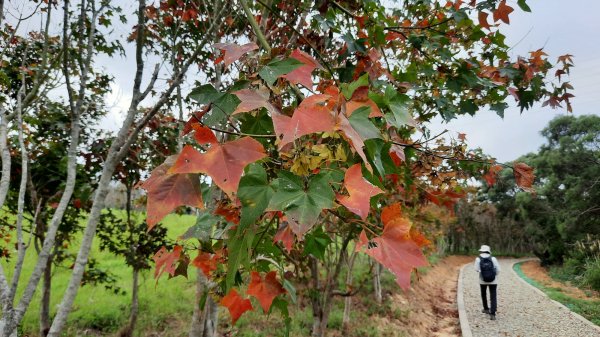 《新竹》城市微旅｜青青草原及香山濕地賞蟹步道202112121547120