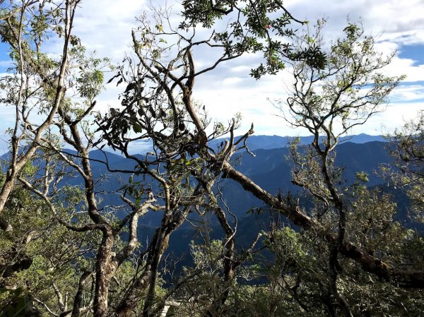 加里山大坪登山口201911241965155