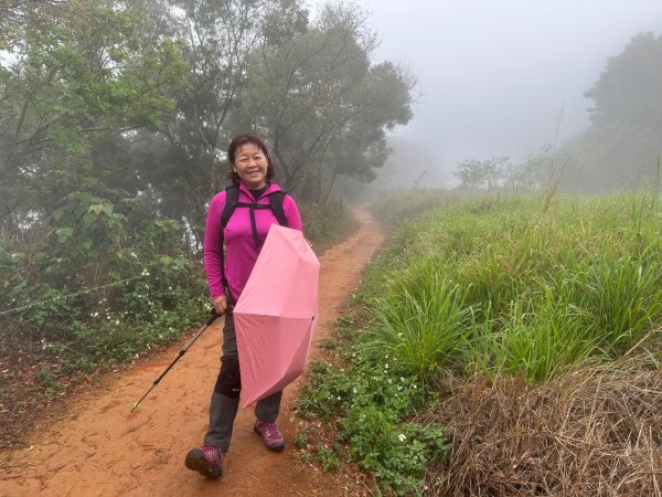田中森林公園步道、赤水崎公園步道、花牆、龍過脈古蹟2750874