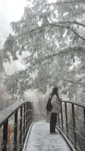 霧茫茫雪白冰封世界-太平山首度追霧淞成功202301282009629