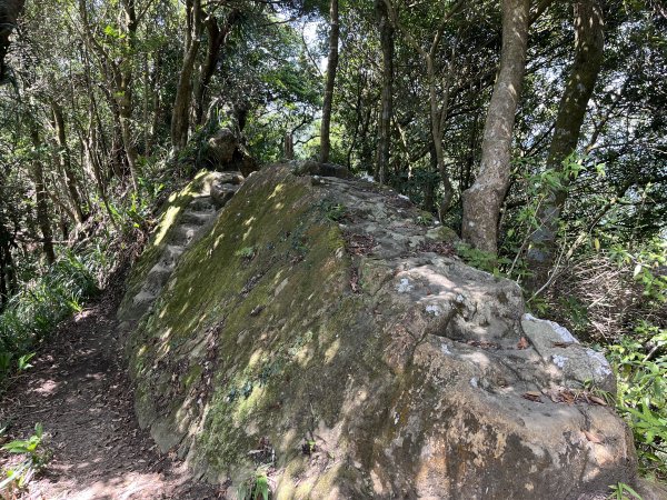 [微笑山線_第九段] 2025_0914 二格山系_天王峰2889634