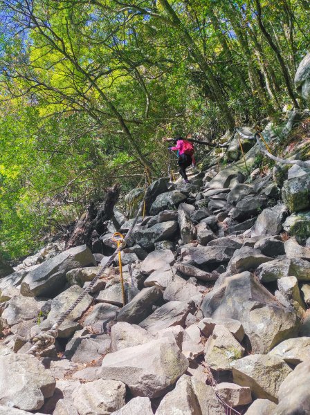 波津加山/谷關七雄老四1638620