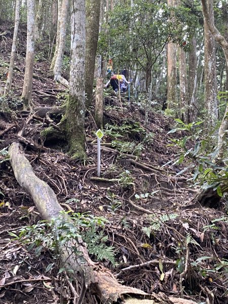20250713-Ep.09油羅山步道-2025森遊竹縣皮皮獅探險隊2851895