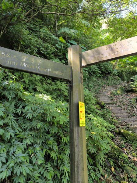 20250830天上山、旺旺嶺、太極嶺2874091