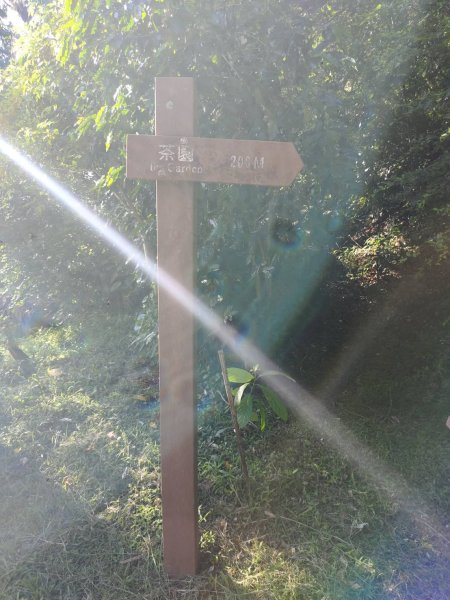 林口頂福巖森林步道2838130