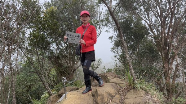 上上又下下的筆架連峰|西帽子岩|炙子頭山|峯花雪月2691193