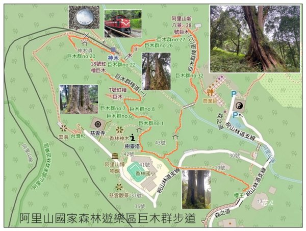 阿里山神木群棧道2771570