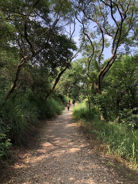 鐵砧山登山步道397592